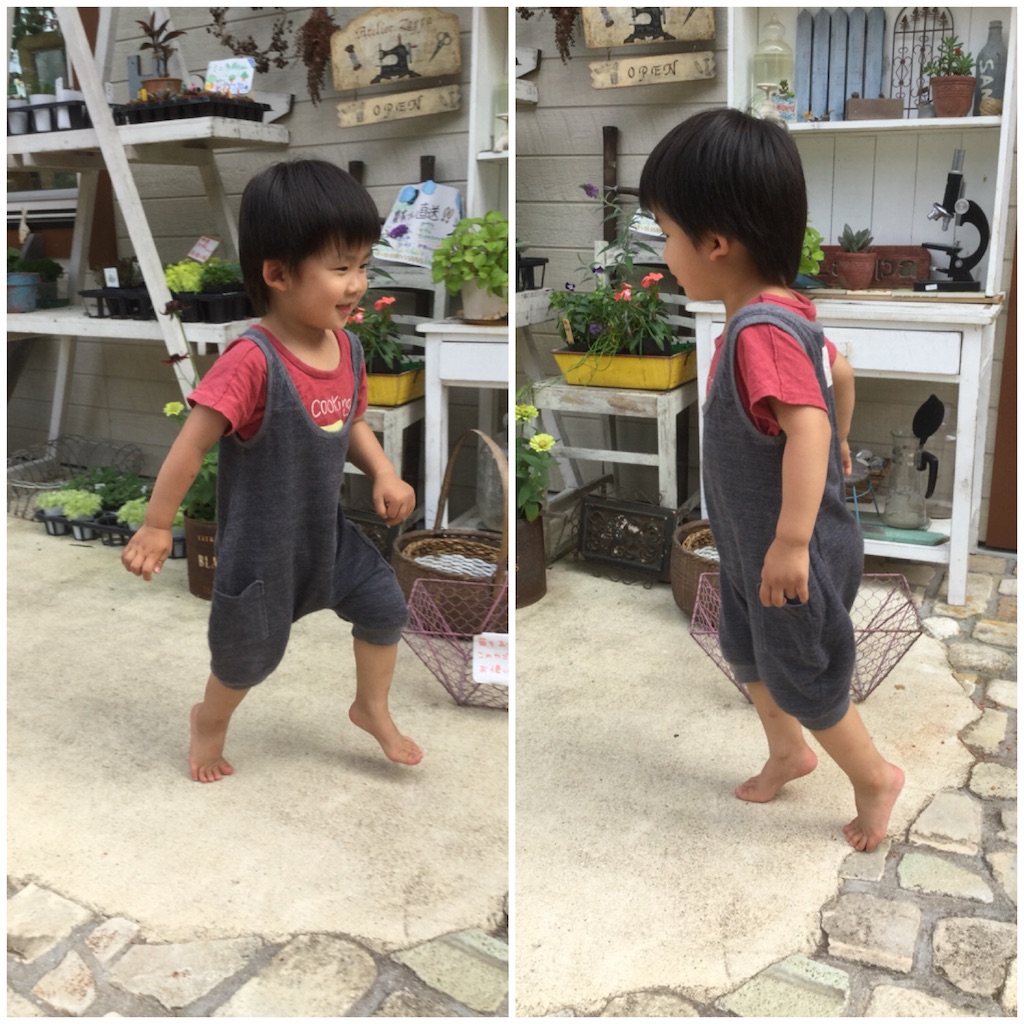 f:id:zappa38:20180618203521j:image