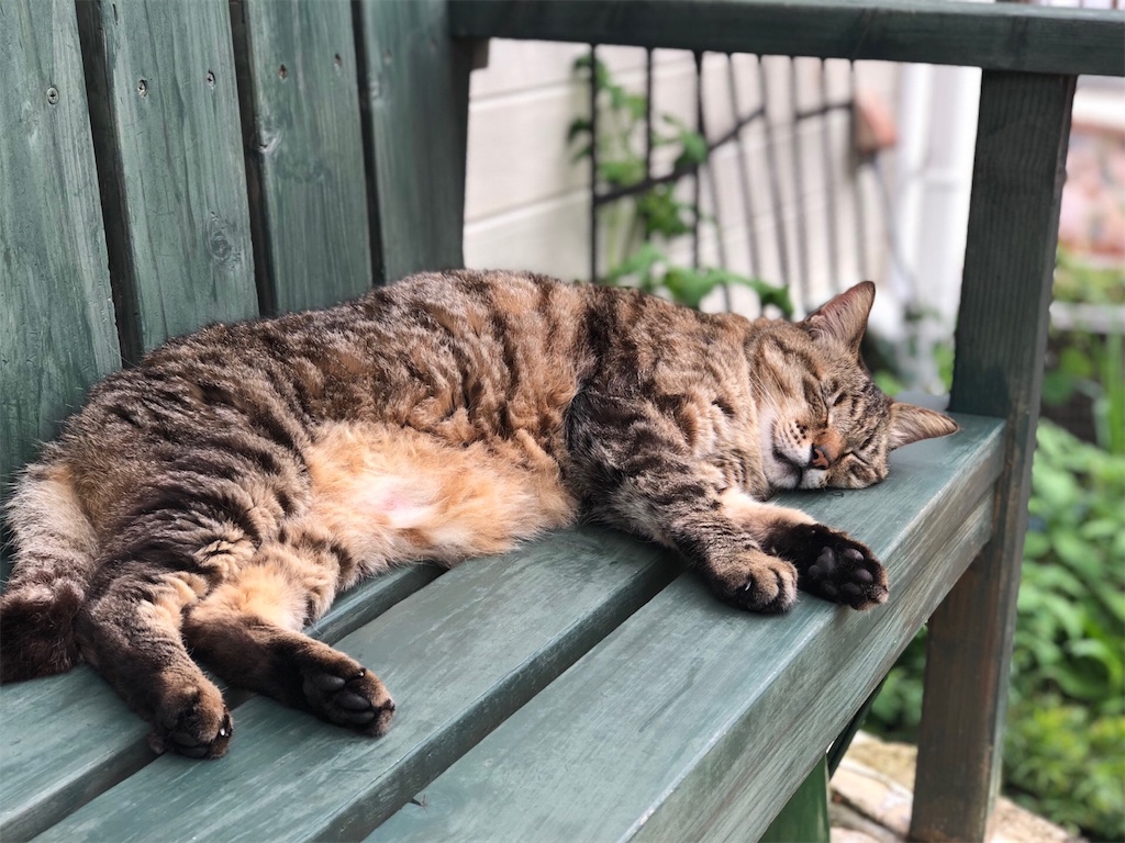 f:id:zappa38:20180622193957j:image