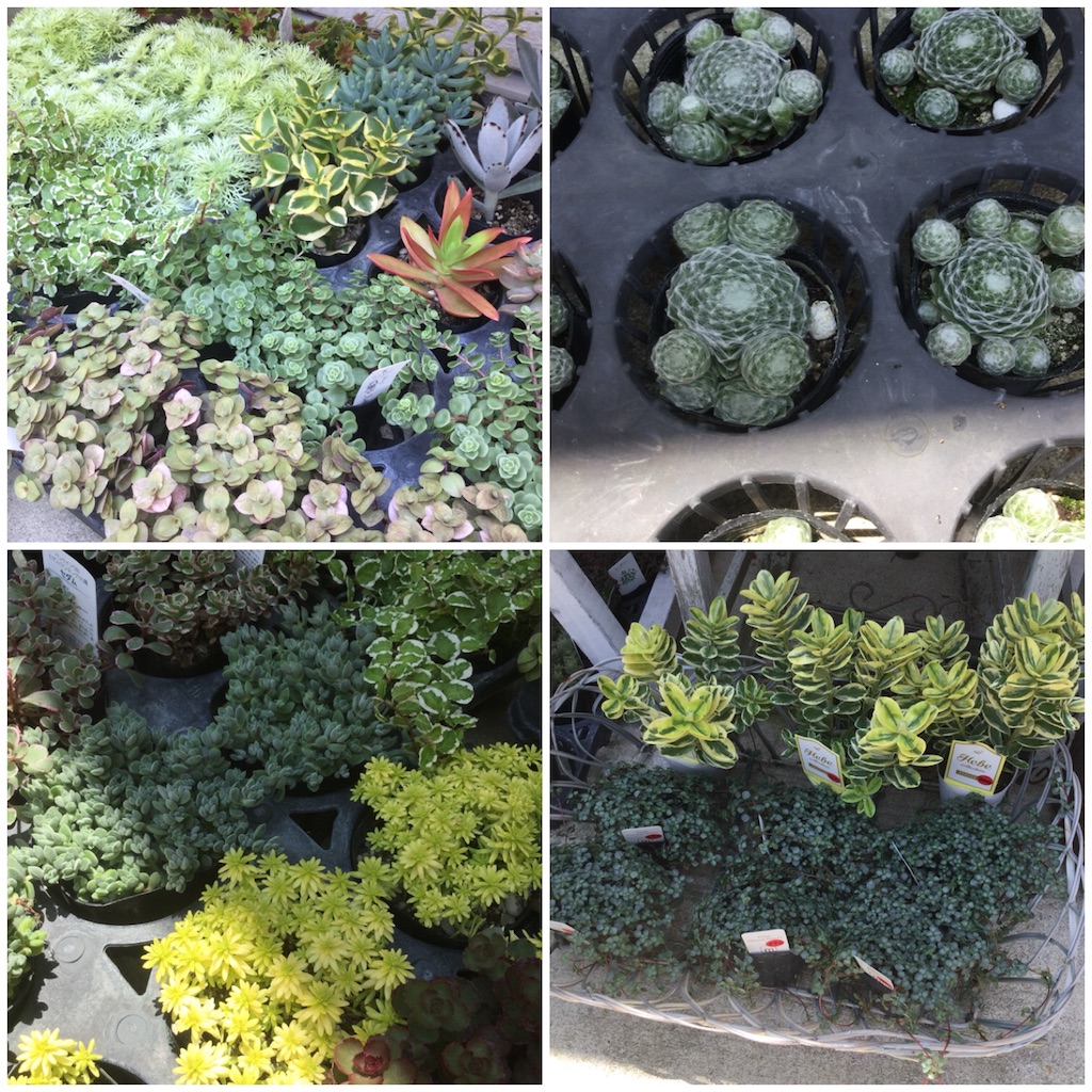 f:id:zappa38:20180622194030j:image