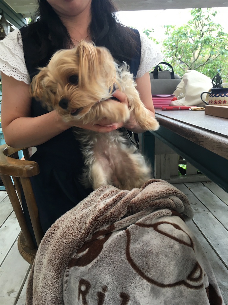 f:id:zappa38:20180623193602j:image