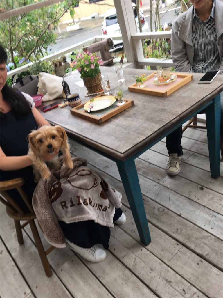 f:id:zappa38:20180623193620j:image