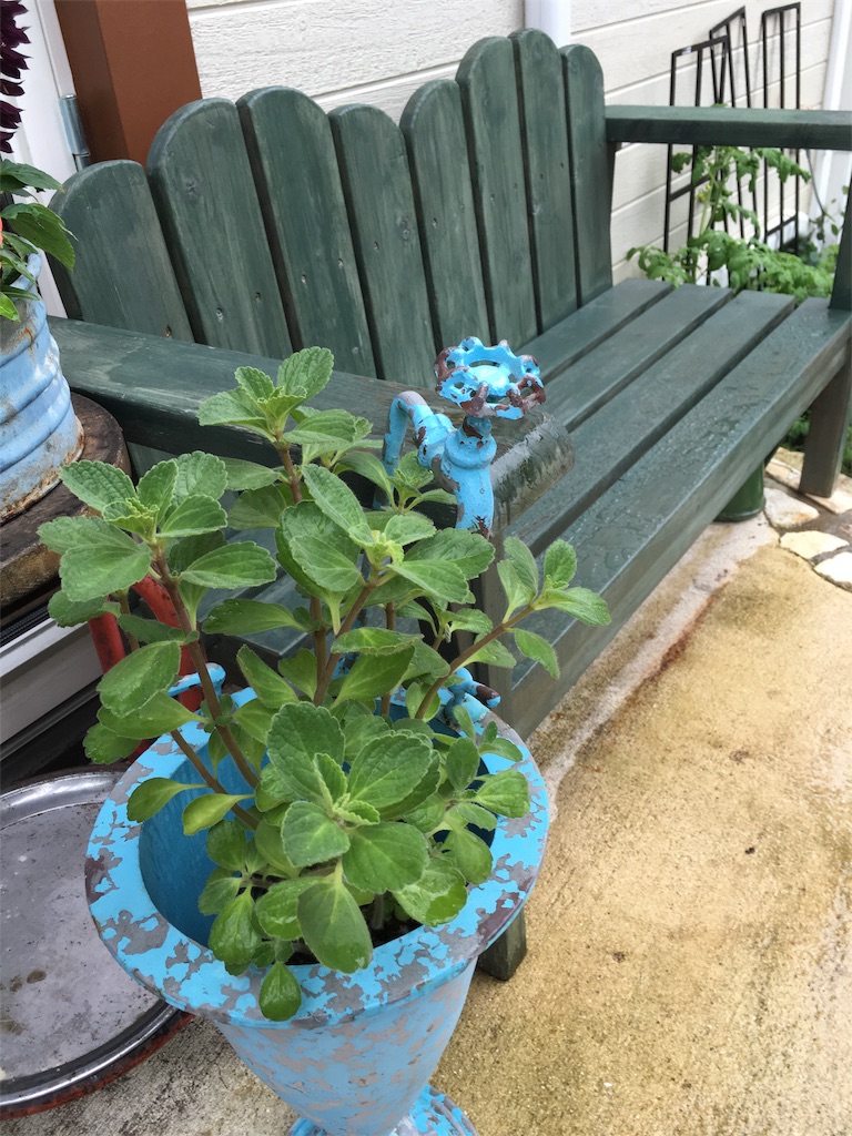 f:id:zappa38:20180623193637j:image