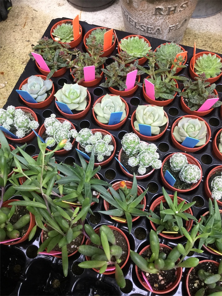 f:id:zappa38:20180623200151j:image