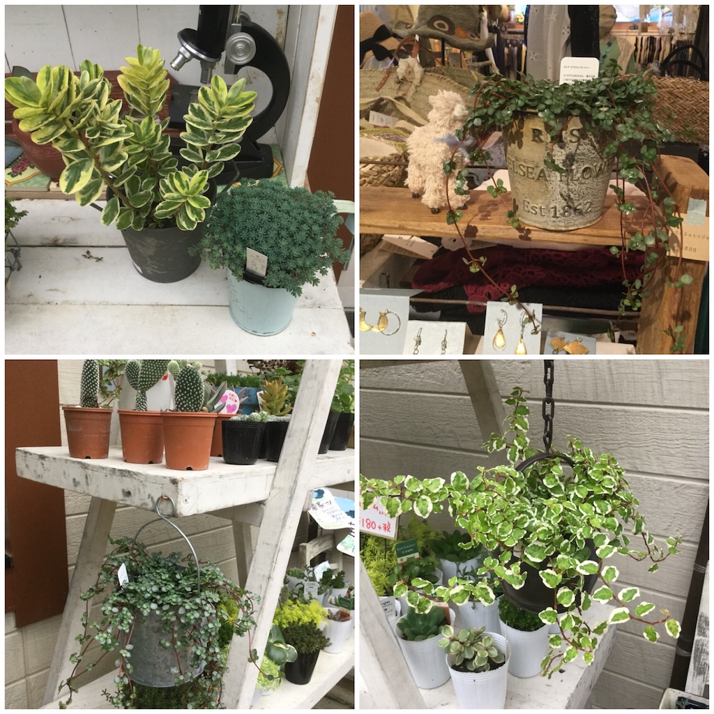 f:id:zappa38:20180623200218j:image