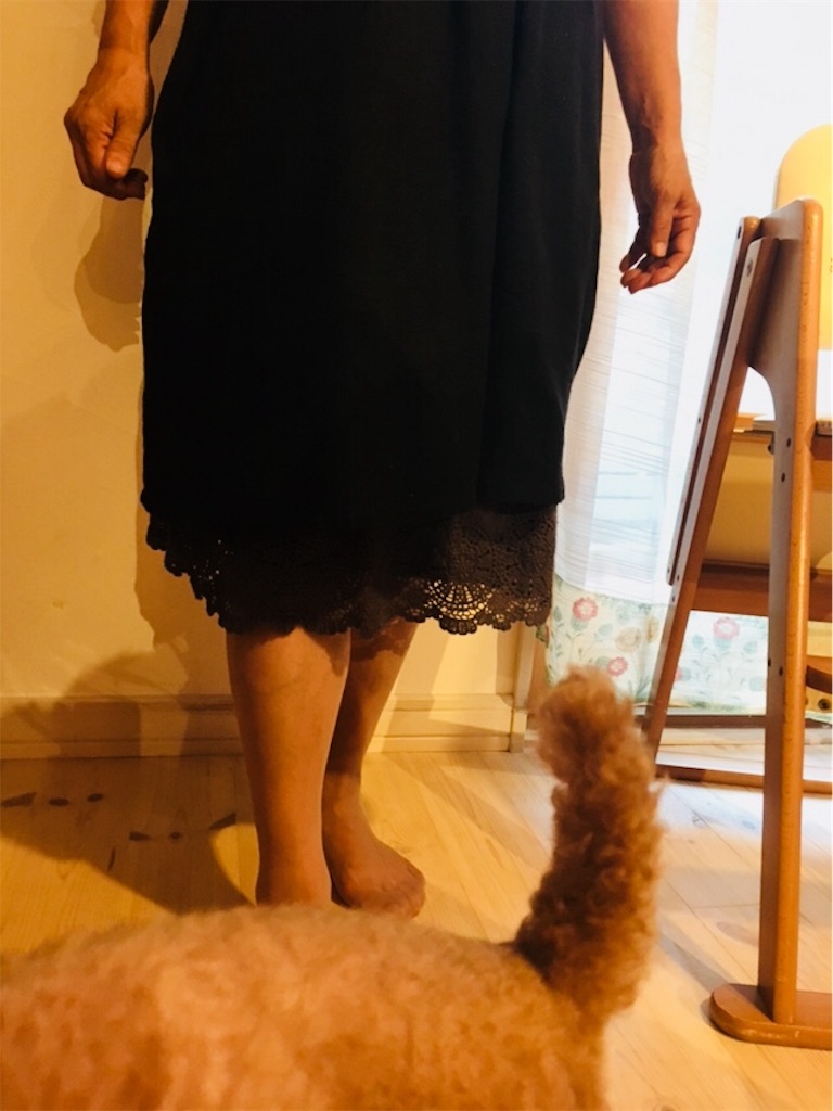 f:id:zappa38:20180629191003j:image