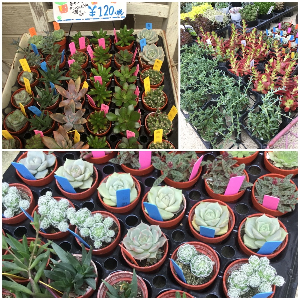 f:id:zappa38:20180629193739j:image