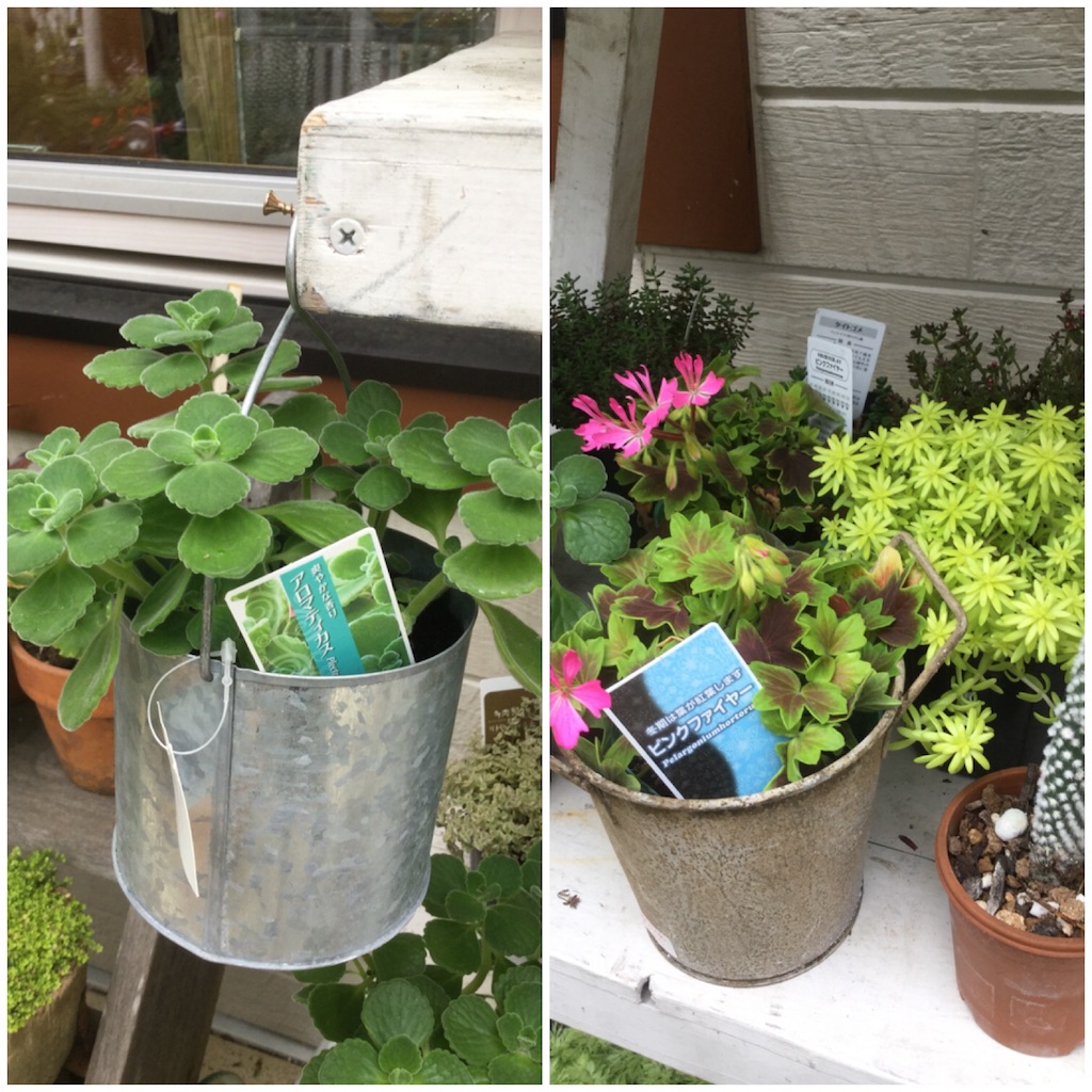 f:id:zappa38:20180629193748j:image