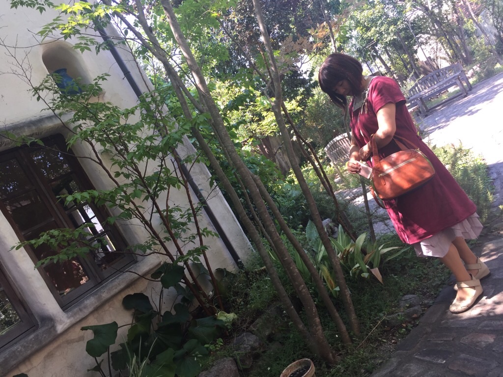 f:id:zappa38:20180724213951j:image f:id:zappa38:20180724213951j:image