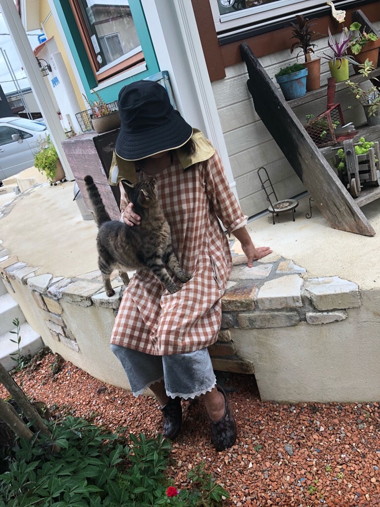 f:id:zappa38:20180815210322j:image