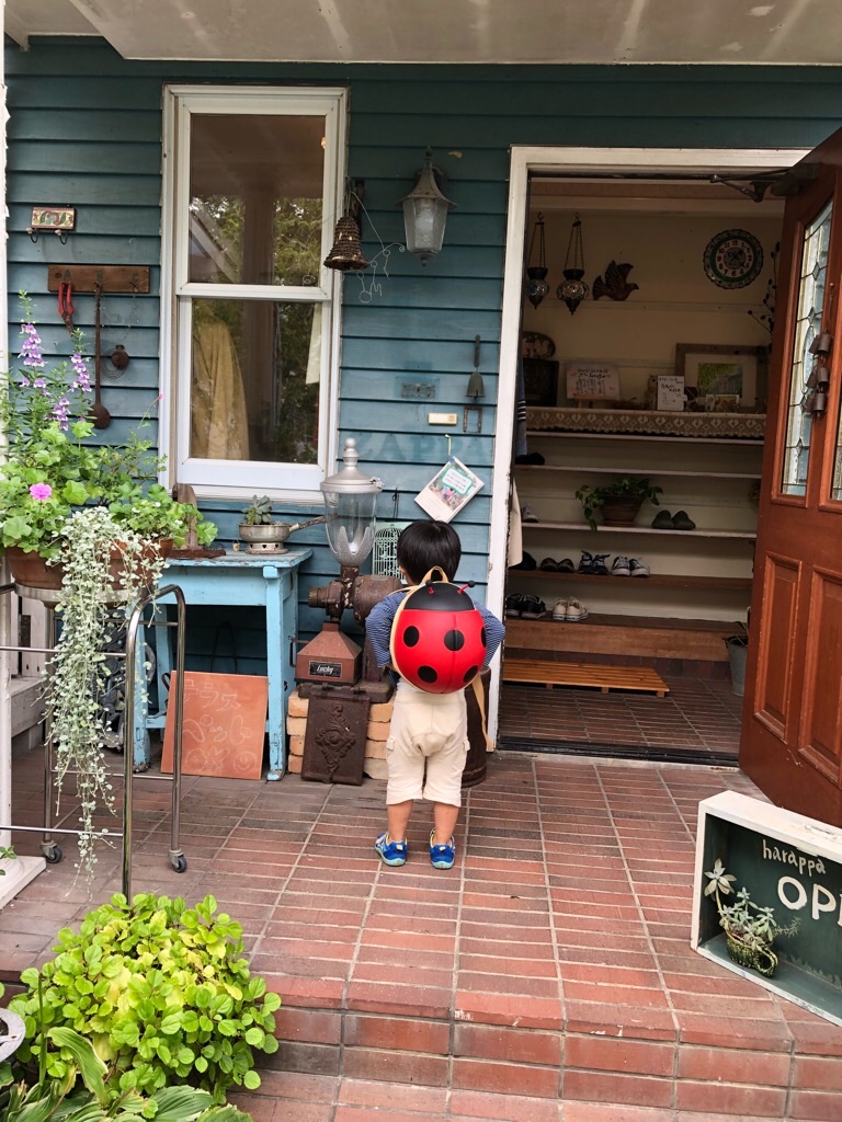 f:id:zappa38:20180923200629j:image f:id:zappa38:20180923200629j:image