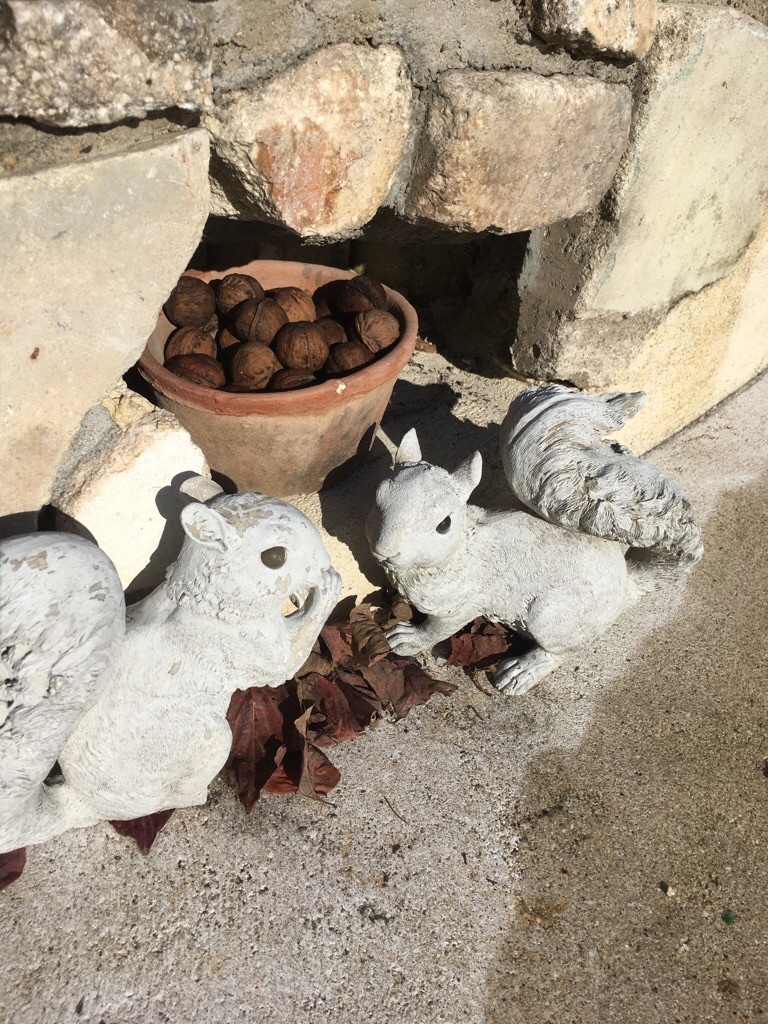 f:id:zappa38:20181030101337j:image f:id:zappa38:20181030101337j:image