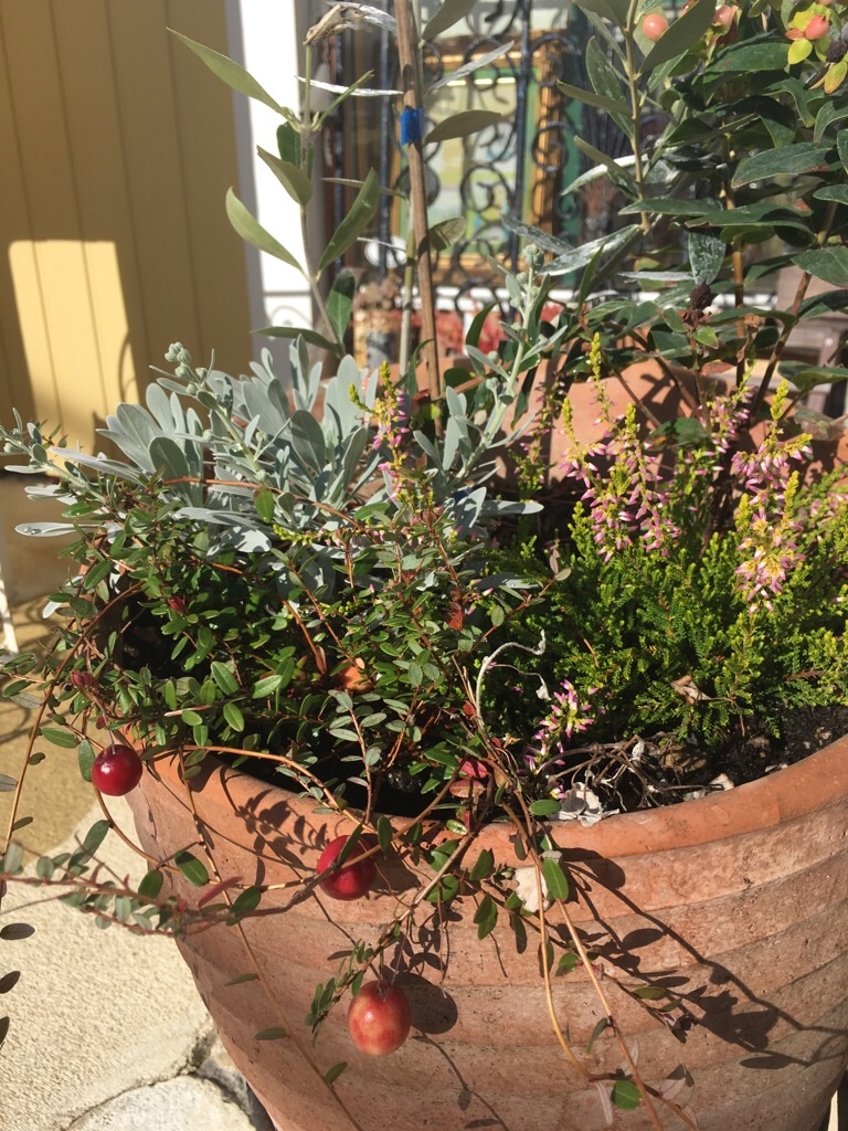 f:id:zappa38:20181030101348j:image f:id:zappa38:20181030101348j:image