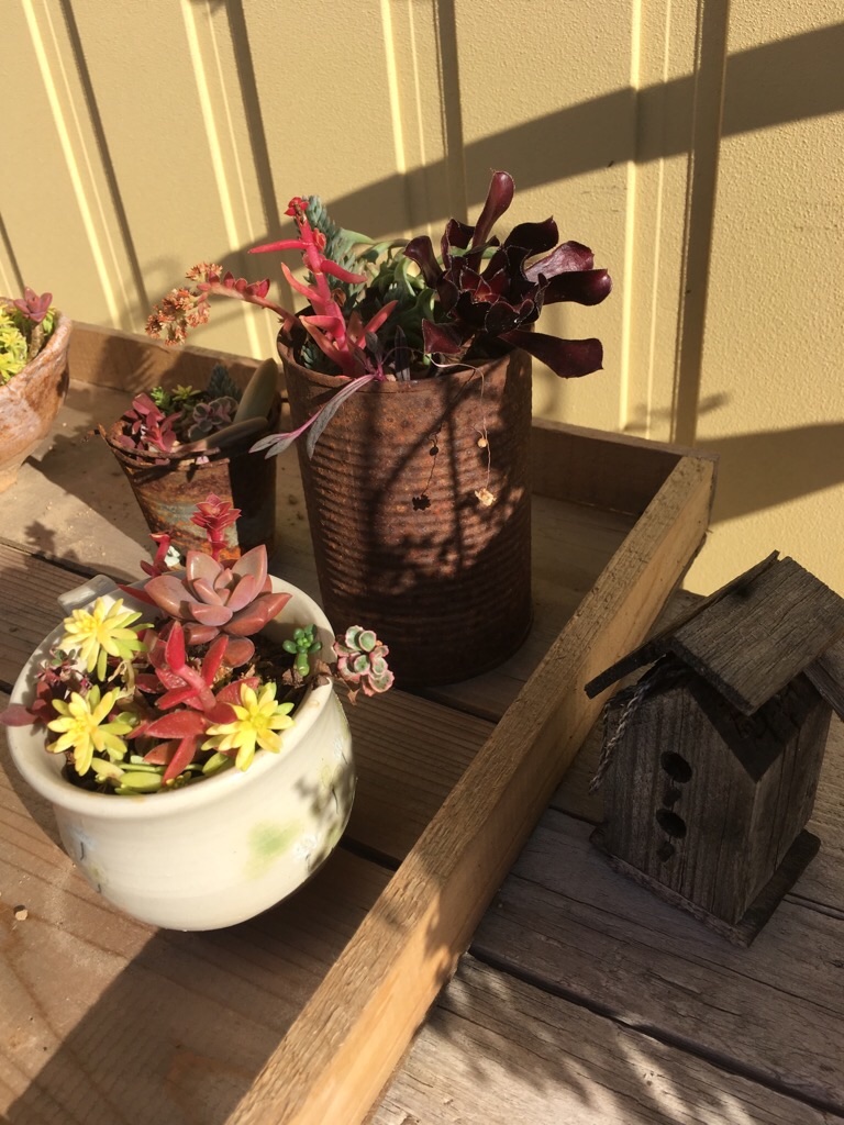 f:id:zappa38:20181030101422j:image f:id:zappa38:20181030101422j:image