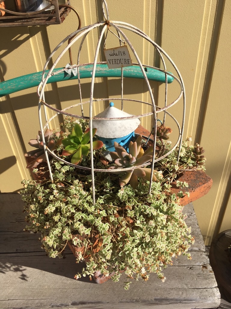 f:id:zappa38:20181030101426j:image f:id:zappa38:20181030101426j:image