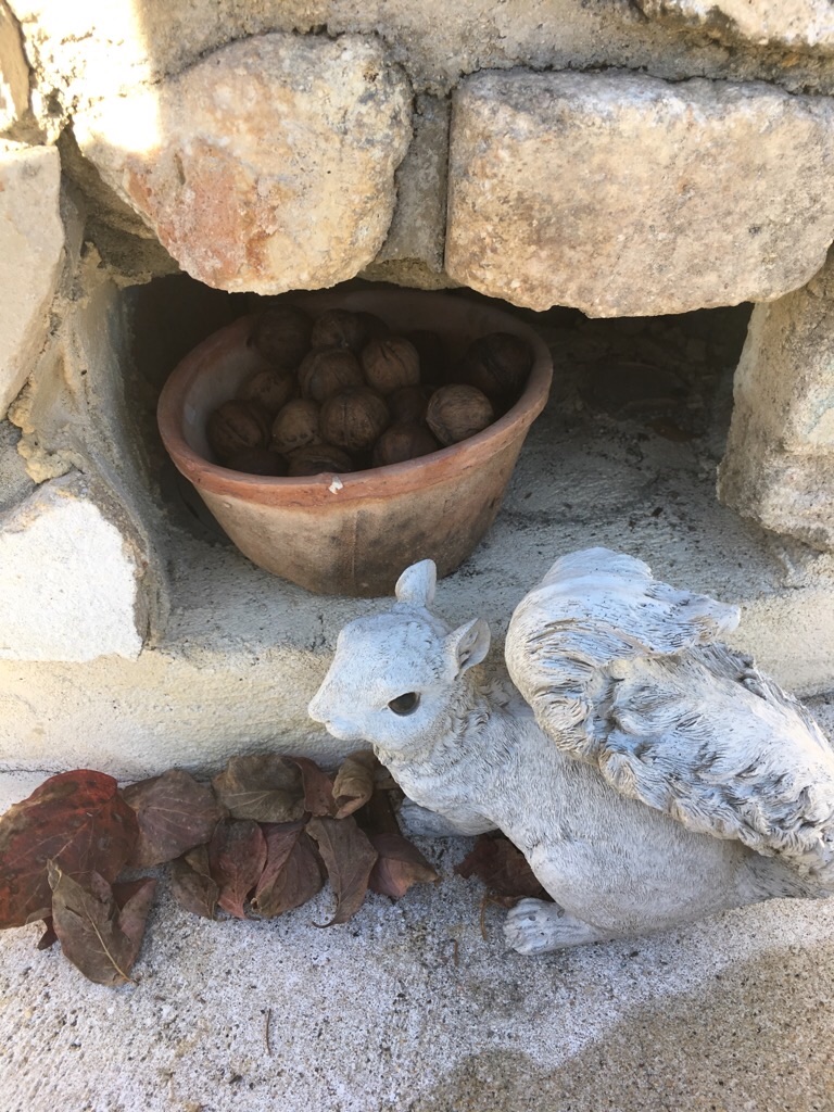 f:id:zappa38:20181030101433j:image f:id:zappa38:20181030101433j:image