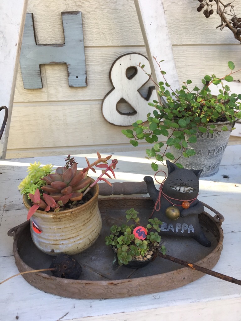 f:id:zappa38:20181030101440j:image f:id:zappa38:20181030101440j:image