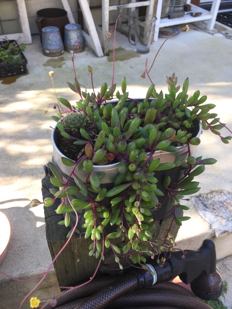 f:id:zappa38:20181030101444j:image f:id:zappa38:20181030101444j:image