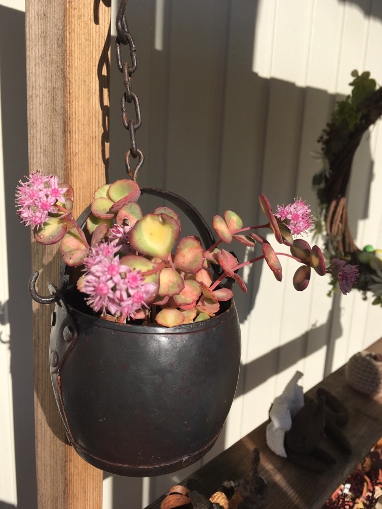 f:id:zappa38:20181030101450j:image f:id:zappa38:20181030101450j:image