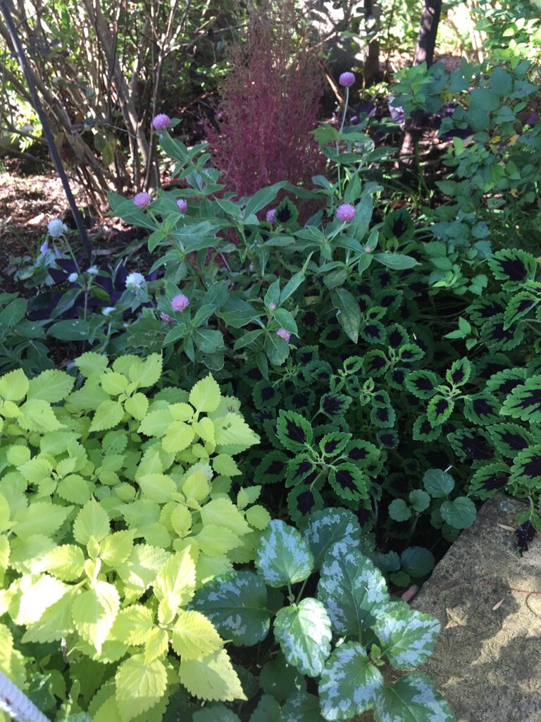 f:id:zappa38:20181030101454j:image f:id:zappa38:20181030101454j:image