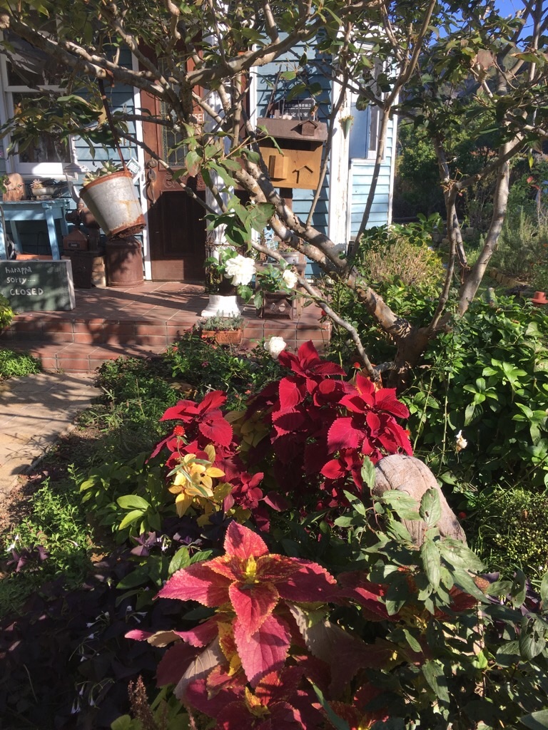 f:id:zappa38:20181030101501j:image f:id:zappa38:20181030101501j:image