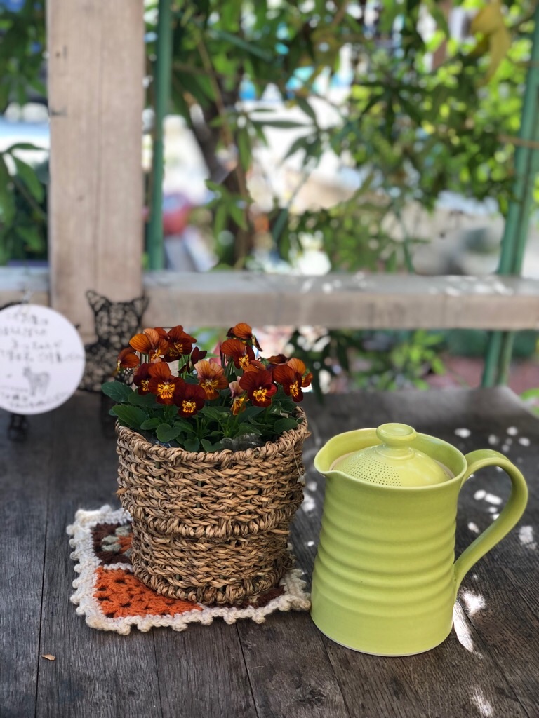 f:id:zappa38:20181110192037j:image