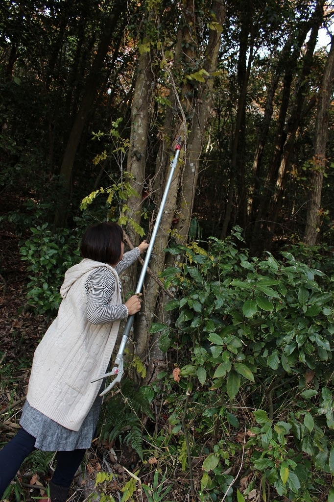 f:id:zappa38:20181202172449j:plain f:id:zappa38:20181202172449j:plain