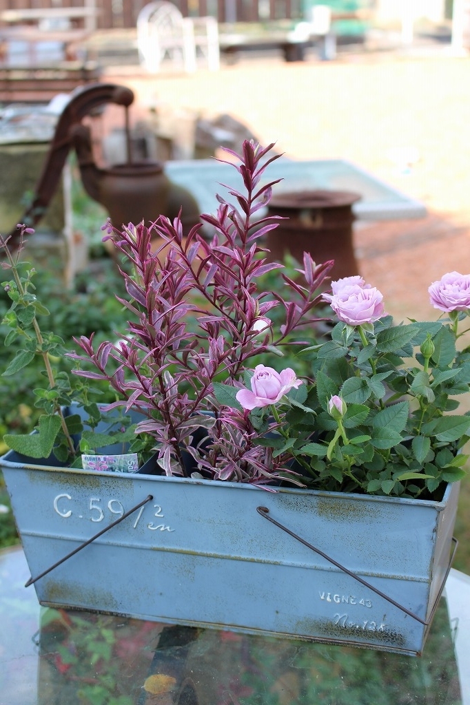 f:id:zappa38:20181202172615j:plain f:id:zappa38:20181202172615j:plain