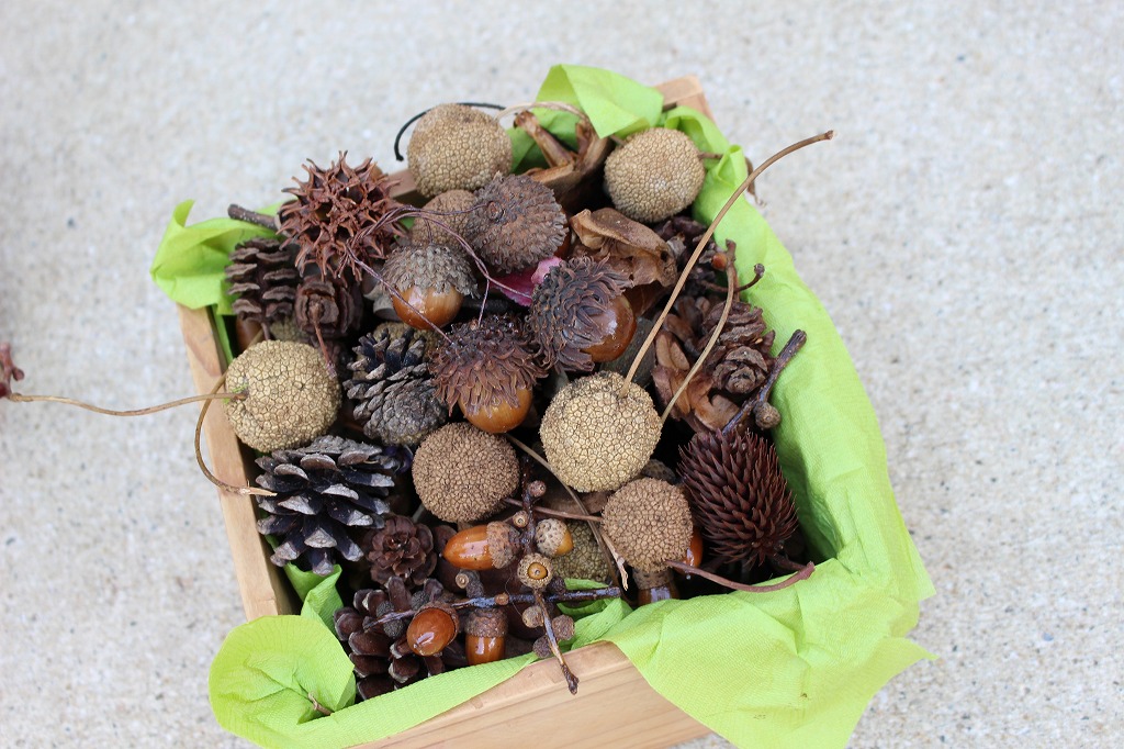 f:id:zappa38:20181202172619j:plain f:id:zappa38:20181202172619j:plain