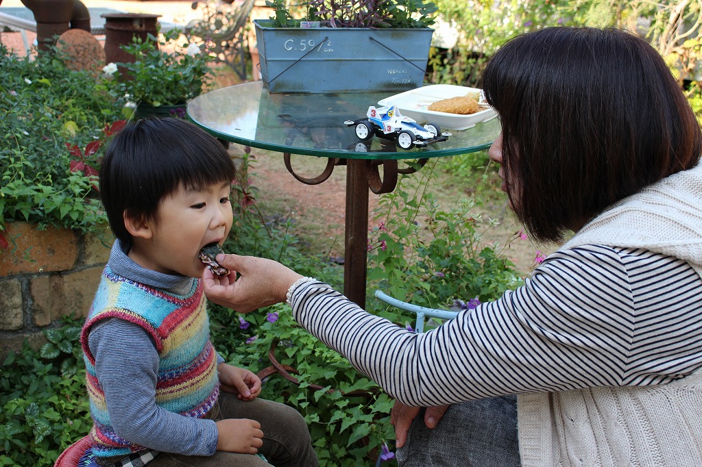 f:id:zappa38:20181202172641j:plain f:id:zappa38:20181202172641j:plain