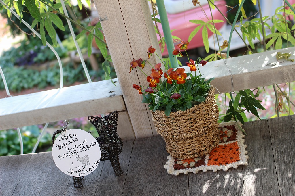 f:id:zappa38:20181202172726j:plain f:id:zappa38:20181202172726j:plain