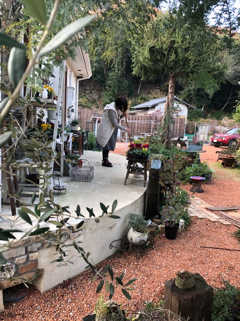 f:id:zappa38:20181202202213j:image f:id:zappa38:20181202202213j:image