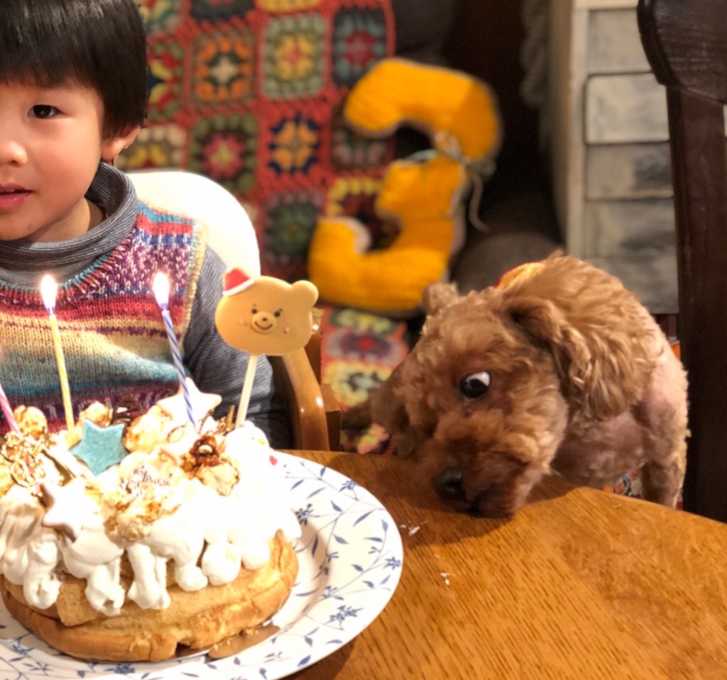 f:id:zappa38:20181202211259j:image f:id:zappa38:20181202211259j:image