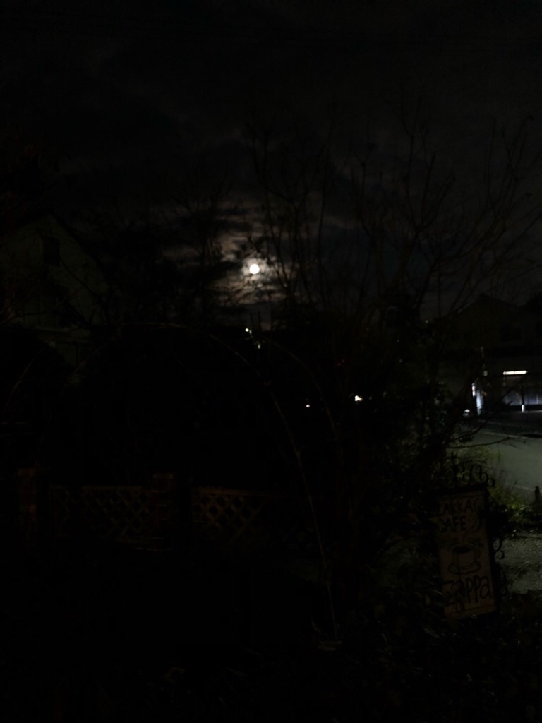 f:id:zappa38:20181222224816j:image