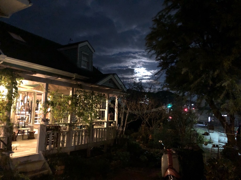 f:id:zappa38:20181222224831j:image