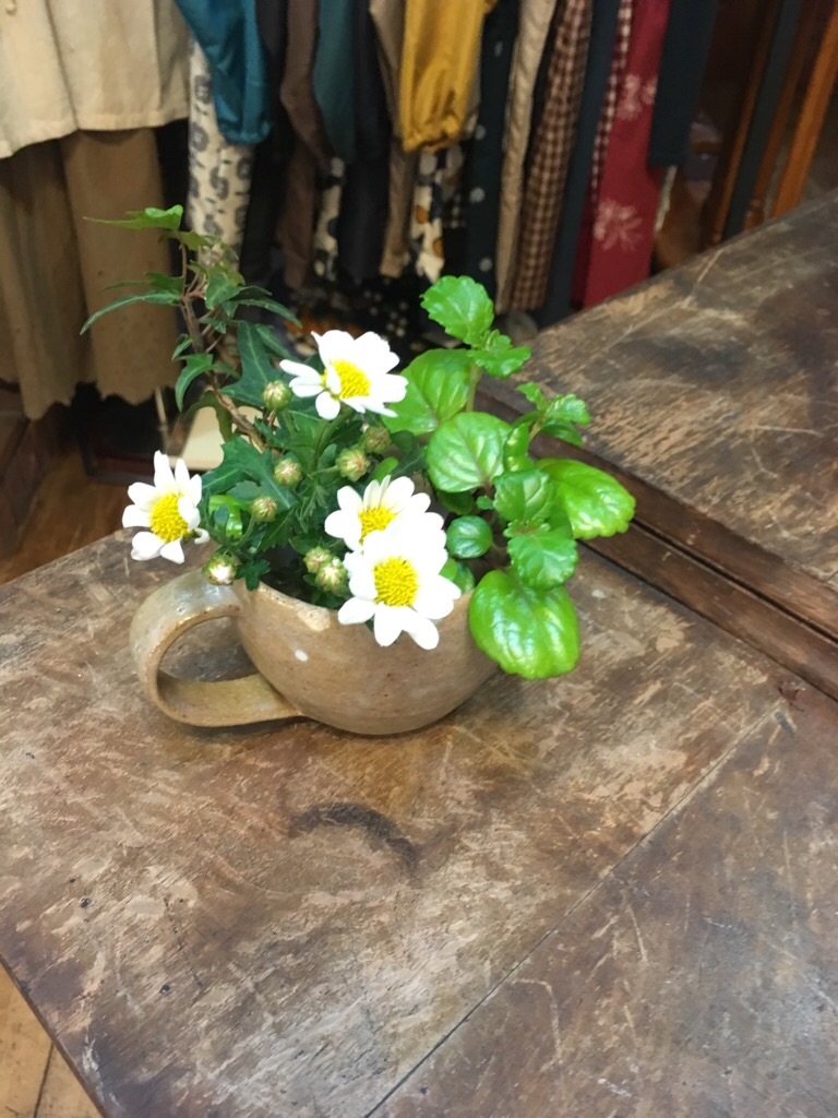 f:id:zappa38:20190112192929j:image