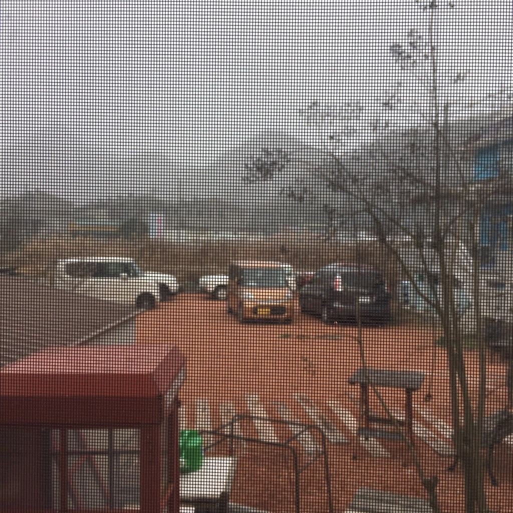 f:id:zappa38:20190126193805j:image