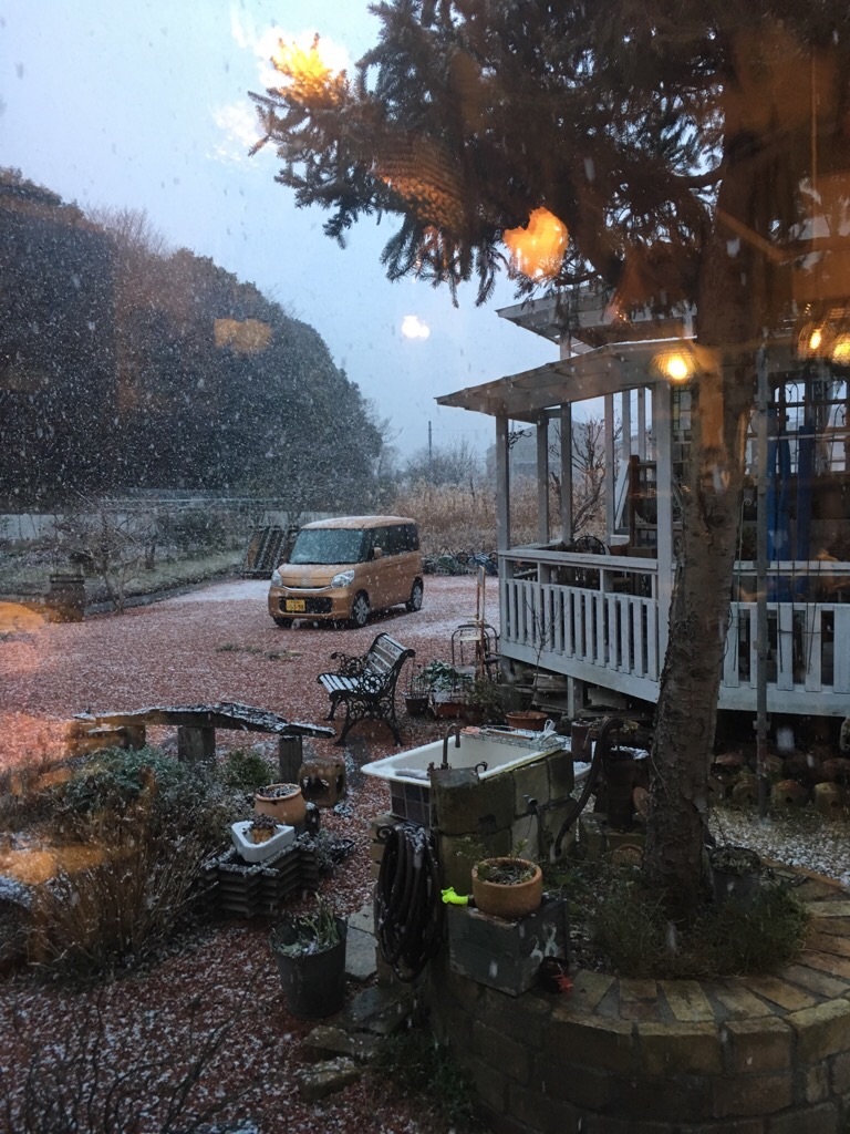 f:id:zappa38:20190126193830j:image