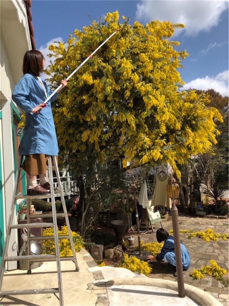 f:id:zappa38:20190207210616j:image