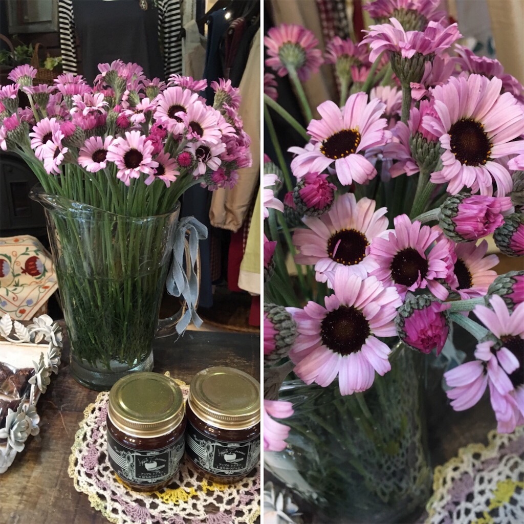 f:id:zappa38:20190210192502j:image f:id:zappa38:20190210192502j:image