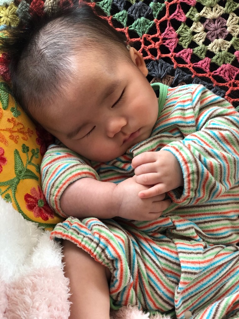 f:id:zappa38:20190328182909j:image f:id:zappa38:20190328182909j:image