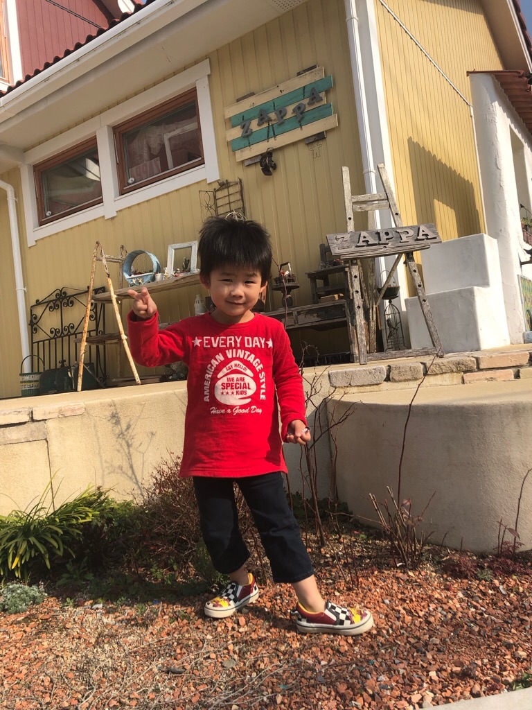 f:id:zappa38:20190328182917j:image f:id:zappa38:20190328182917j:image