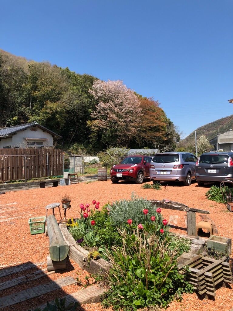 f:id:zappa38:20190413201506j:image