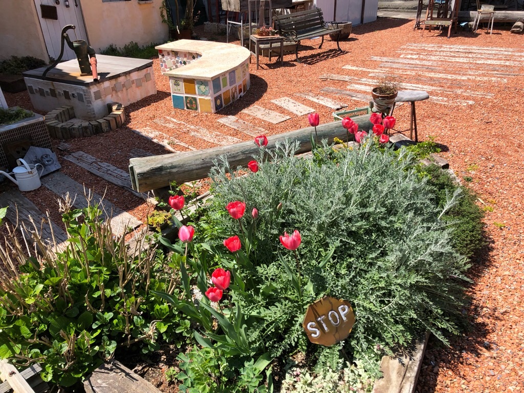 f:id:zappa38:20190413201544j:image