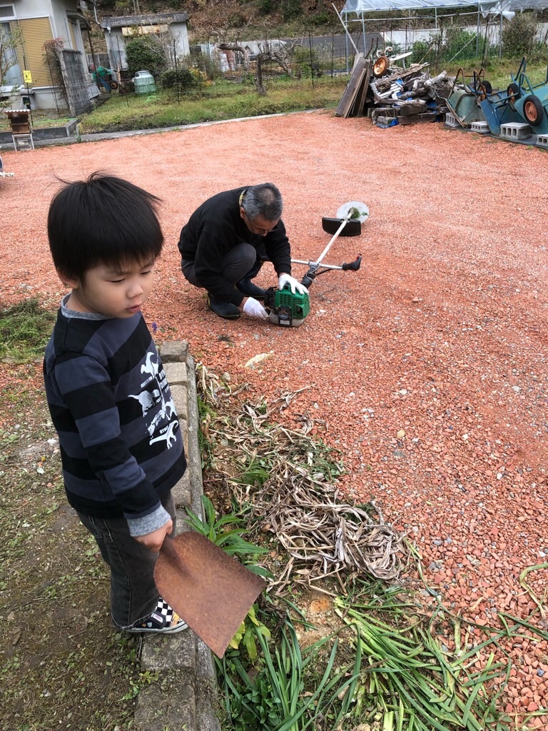 f:id:zappa38:20190413201706j:image