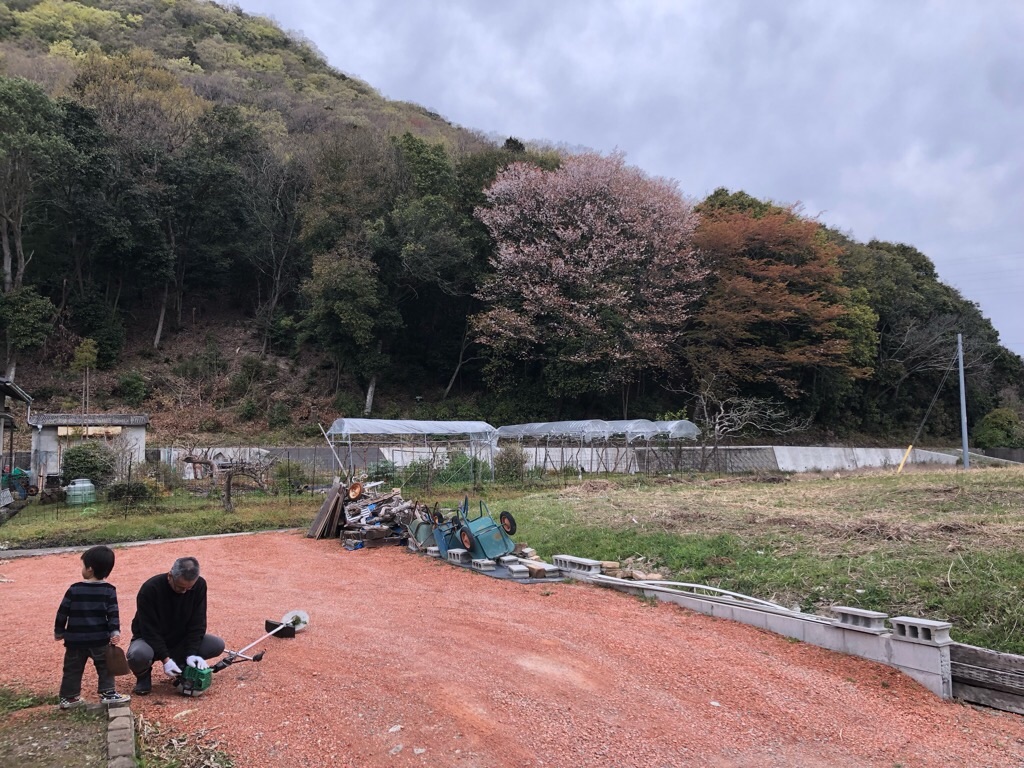 f:id:zappa38:20190413201719j:image