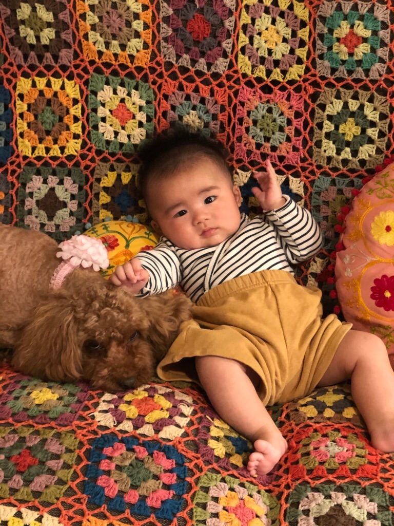 f:id:zappa38:20190419220014j:image f:id:zappa38:20190419220014j:image
