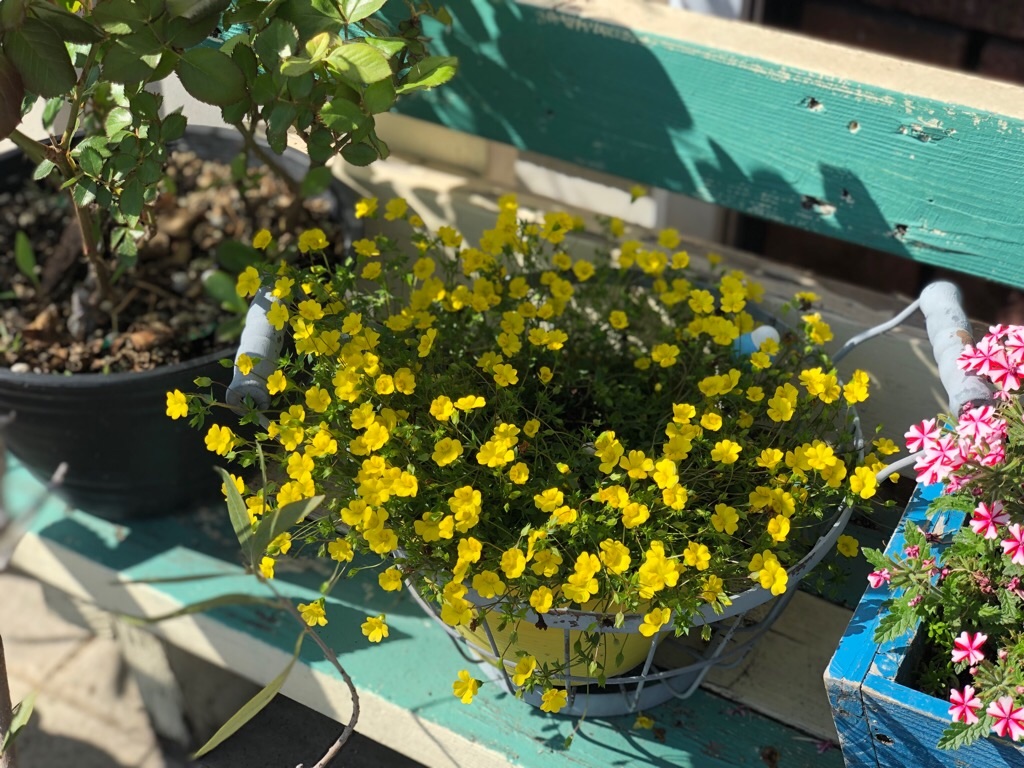 f:id:zappa38:20190507210526j:image f:id:zappa38:20190507210526j:image