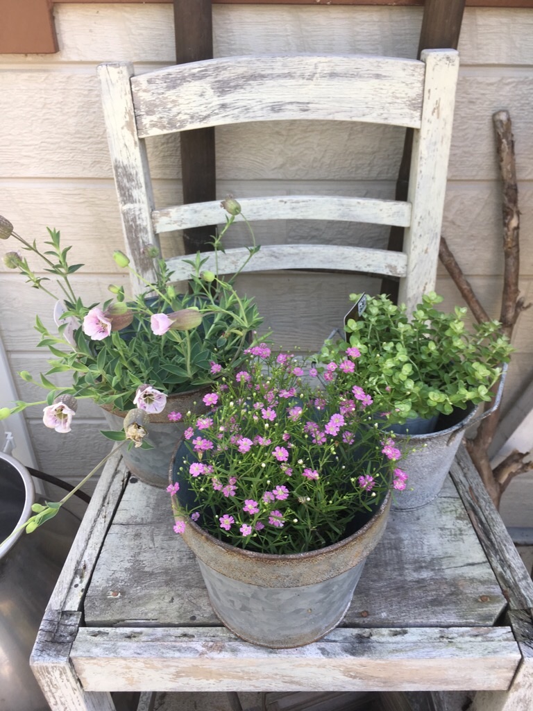 f:id:zappa38:20190512201645j:image f:id:zappa38:20190512201645j:image