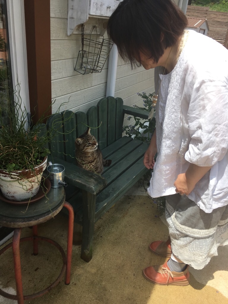 f:id:zappa38:20190512201925j:image f:id:zappa38:20190512201925j:image