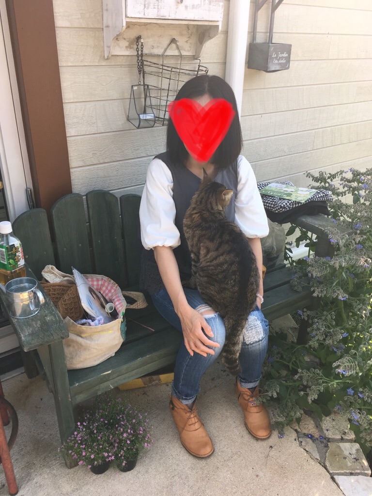 f:id:zappa38:20190512201934j:image f:id:zappa38:20190512201934j:image